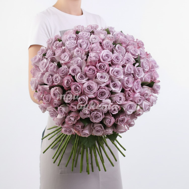 101 пурпурная роза (Premium) 60 см.