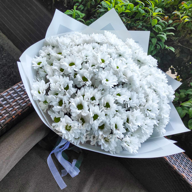 Букет из 25 кустовых хризантем (на белом фоне)