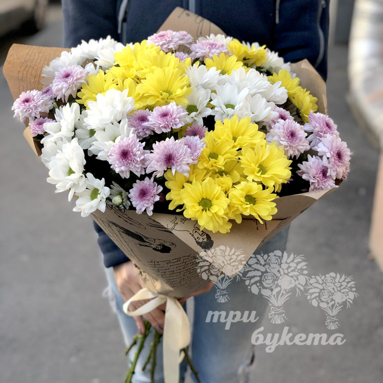 Купить цветы омск хризантемы доставка цветов г владимир