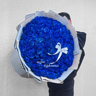 Букет из 105 синих роз с бантом