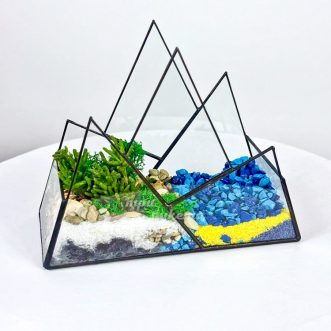 Флорариум с синими камешками, мхом и суккулентом